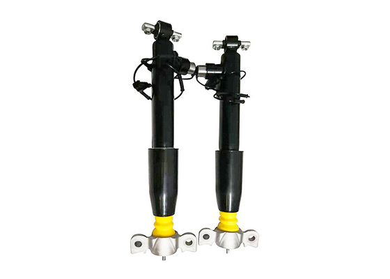 Cặp Phía Sau L + R Khí Chống Sốc Thanh Chống Assy ASH24513 ASH24514 Cho Lincoln MKZ 2013-2020