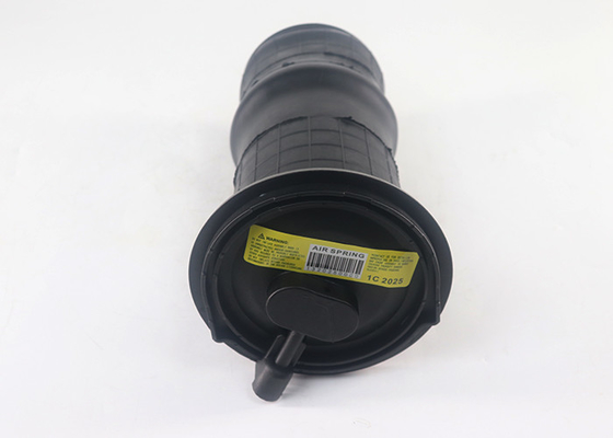 Ống treo phía sau mùa xuân cho 1995-2002 Land Rover Range Rover P38A Thay thế RKB101460E