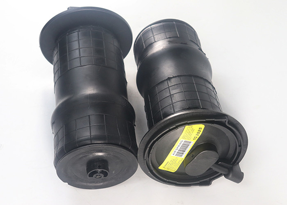 Ống treo phía sau mùa xuân cho 1995-2002 Land Rover Range Rover P38A Thay thế RKB101460E
